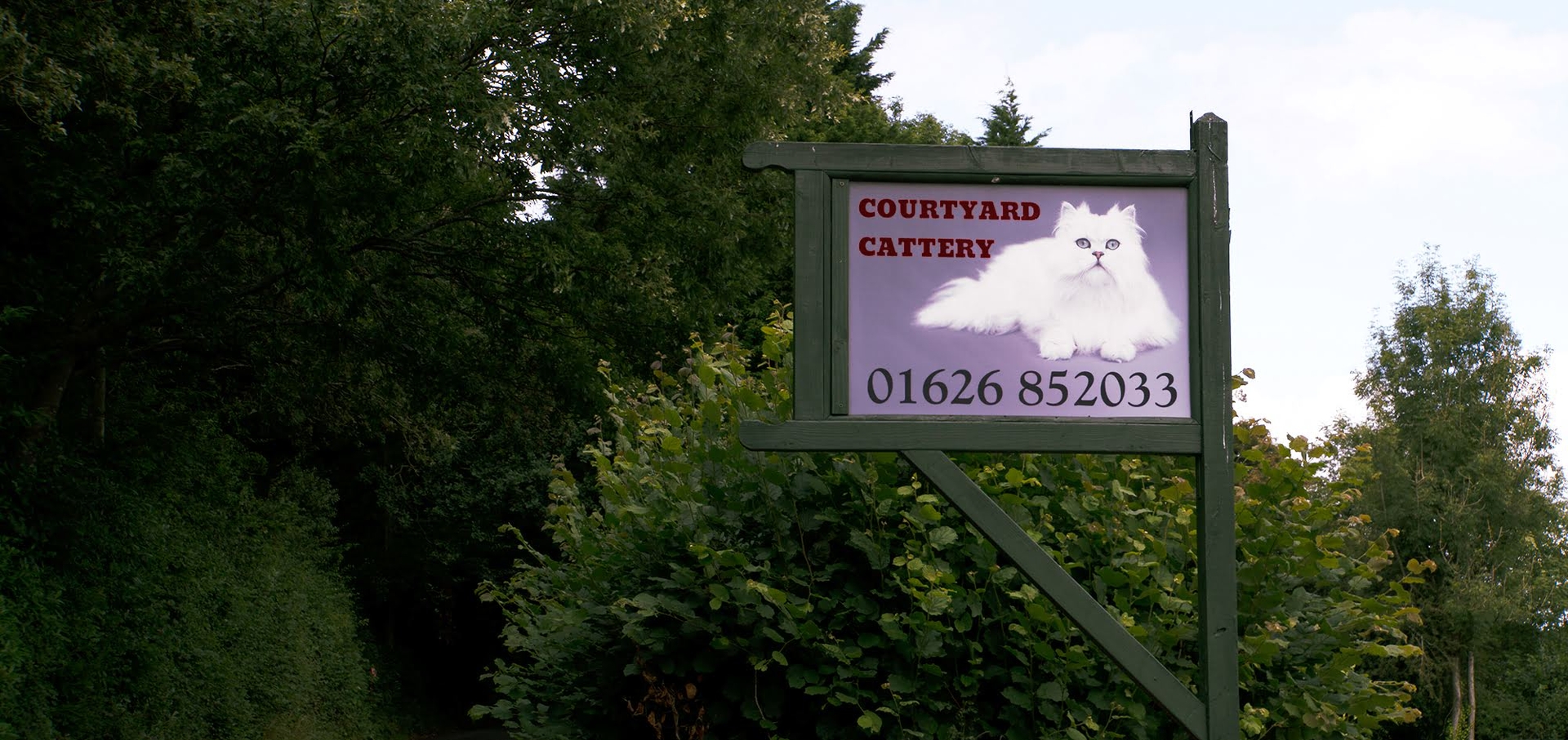 The signpost for the cattery, visible from the road