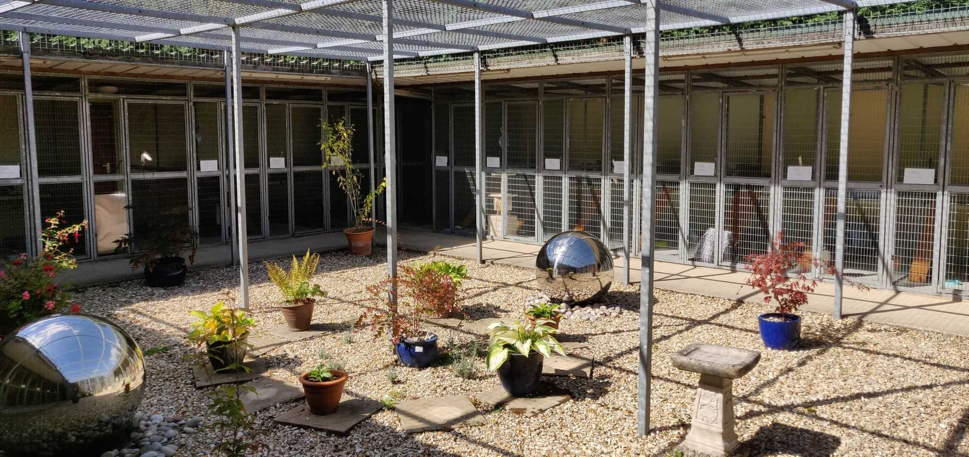 The courtyard of the cattery with a view of the pens and plants