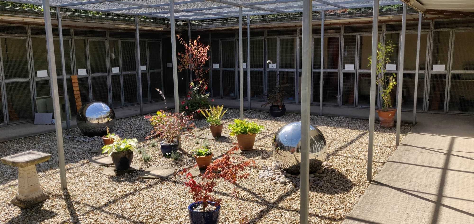 The courtyard of the cattery with a view of the pens and plants